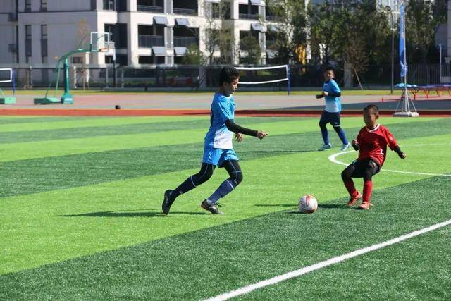 女排意大利杯科内3-0瓦莱福利亚晋级4强 朱婷10分